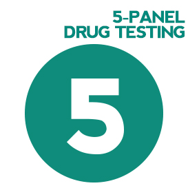 5 panel drug test